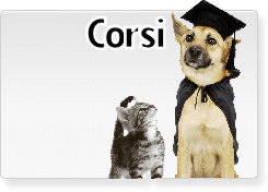 https://mail.carpratiche.com/corsi